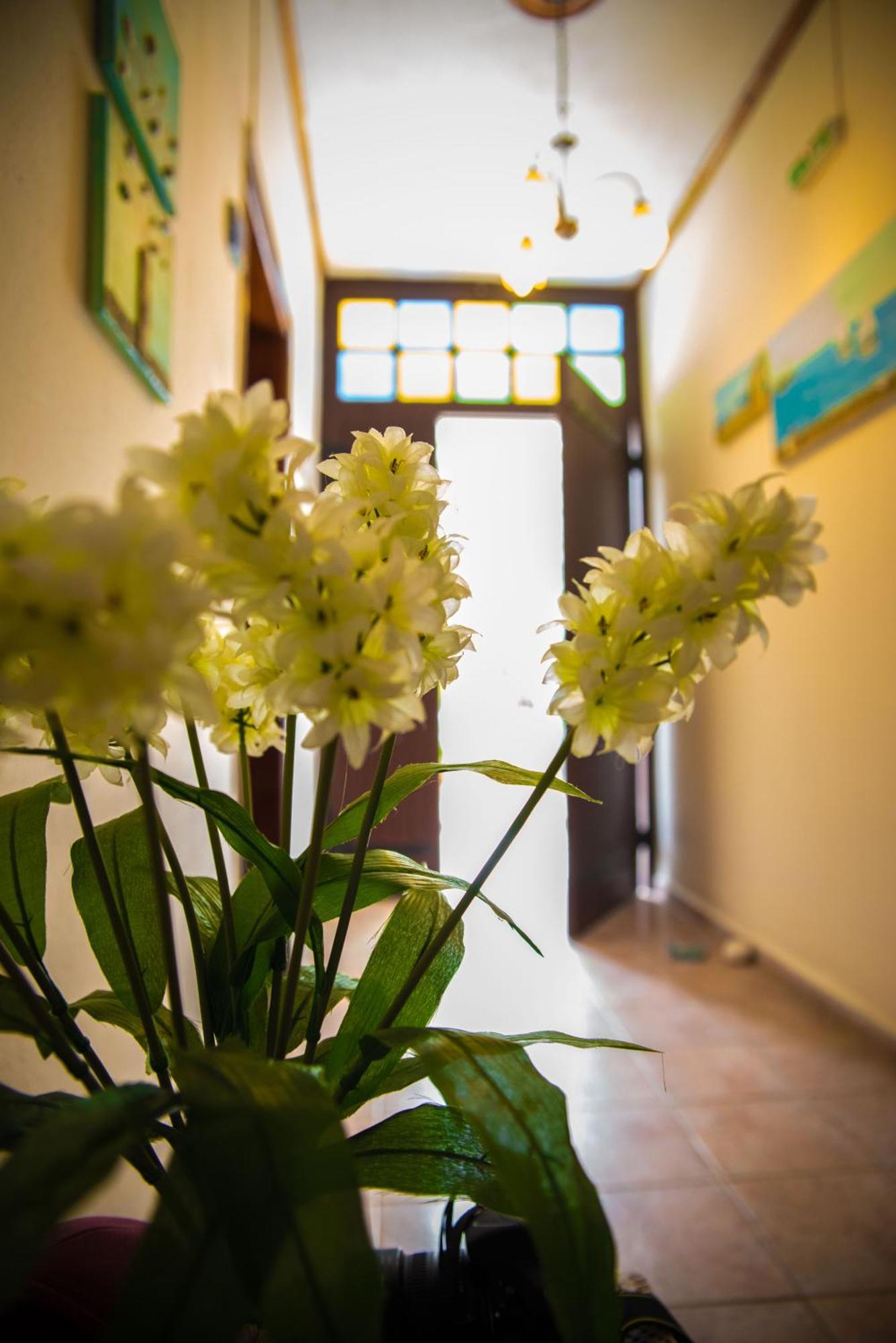 Olga Studios Áfissos Habitación foto